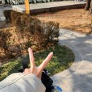 화목 우리 I 태권도장 | [송파 수영장 추천] 헬스보이짐 X 필라걸 가락점 6개월 수강 후기
