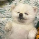 하루산책 이미지