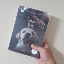 페티앙 북스
