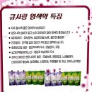염색팡팡 이미지