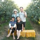 조성호농장 이미지