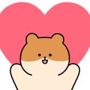 스터디브릭스내신관학원