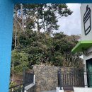 숲섬이라면 | [제주 식당] 숲섬이라면 내돈내산 솔직후기