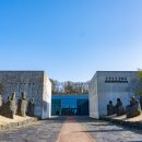 조록나무 뿌리 형상물 이미지