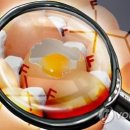 윤정희농장 이미지