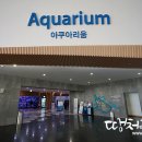 제주해양과학관 (아쿠아플라넷) 이미지