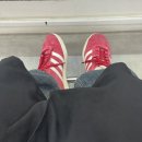 주란목장 이미지