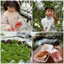 문화농장 | [충북 진천] 뤁스퀘어 이모 농장 체험 / 아기랑 농장 체험 프로그램 스마트팜 체험농장 방문 후기