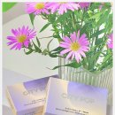 룩스토어 위드렌즈 진천점 이미지