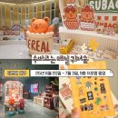 더현대 대구 수바코는 매일 귀여움 팝업 후기 7월3일까지