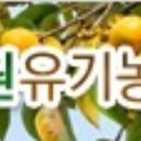 시목원 이미지
