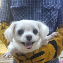 상방1길 이미지