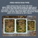 삼단지농장 이미지