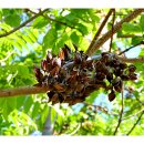 건들바위네거리 이미지