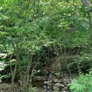 대안사 경내 | 곡성 가볼만한 곳_태안사(힐링코스, 역사탐방)_가을 풍경이 이쁜 곳(인싸)