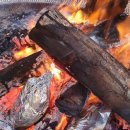 쫑이와메리 | [연천애견펜션] 쫑이와메리 애견펜션에서 반려견과 완벽한 하루 보낸 후기!