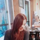 단헤어팀