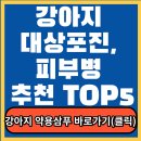 강아지 대상포진, 피부병 추천 TOP5 이미지