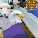 일진여관 이미지