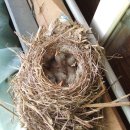 굿모닝 농장 이미지