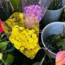 은하꽃집 이미지