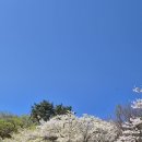 금정산 병풍바위 이미지
