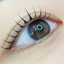 석전동204 이미지