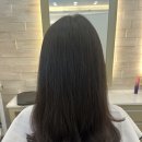 살롱드스누