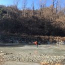 비슬산 숲속 오토캠핑장 이미지