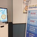 국수나무분당삼평점