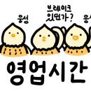 헤드스파루시 이미지