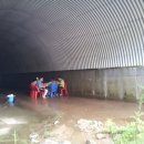 서삼농장 이미지