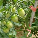 이화의료원어린이집 이미지