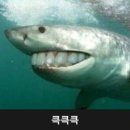 쭉심 이미지