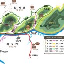 예향의 숲 이미지