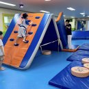 한국체대 꿈나무 태권도장 이미지