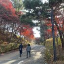 도원산성 이미지