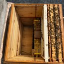 계상농장 이미지