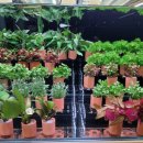 류헤어갤러리 이미지