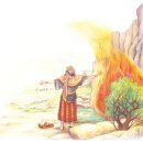 신앙과 헌법, 종교적 진리와 사회적 진리의 함수 관계 이미지