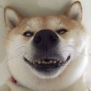 천천향 이미지