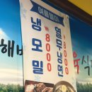 신정3파출소 화장실 | 신정역소고기ㅣ해바라기정육식당 목동점 소 반마리