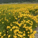 생림딴섬생태공원(드론연습장) 네이버블로그