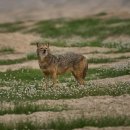 백조슈퍼 - 수영구 | 백조슈퍼