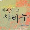 바람의딸