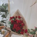 성내동꽃집 붉은산다화 가격 위치 영업시간