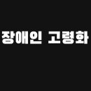 장애인복지론 6조 발표과제 이미지