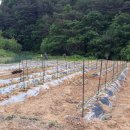 세희농장 이미지