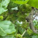 광장농장 이미지