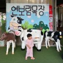 신용목장 | 연보람목장 평일 오후 9월 (with 35M 7M)